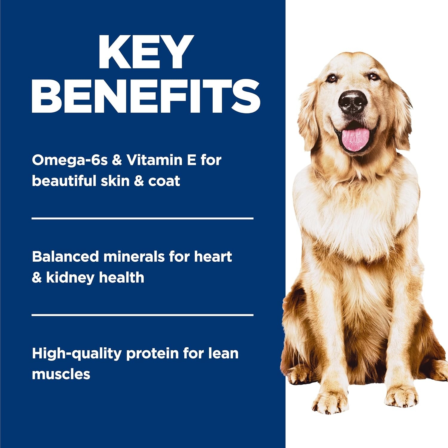 image:imageHills Science Diet Adult Perfect Weight Wet Dog Food Hearty Vegetable amp Chicken Stew 125 oz Cans 12PackChicken Vegetables Stew