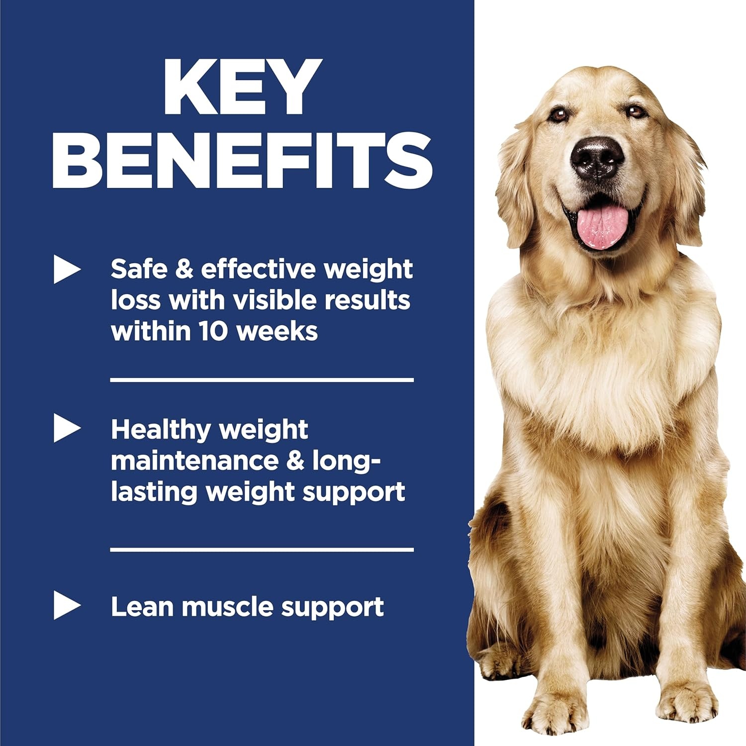 image:imageHills Science Diet Adult Perfect Weight Wet Dog Food Vegetables amp Salmon Stew 28 oz Pouches 24Pack