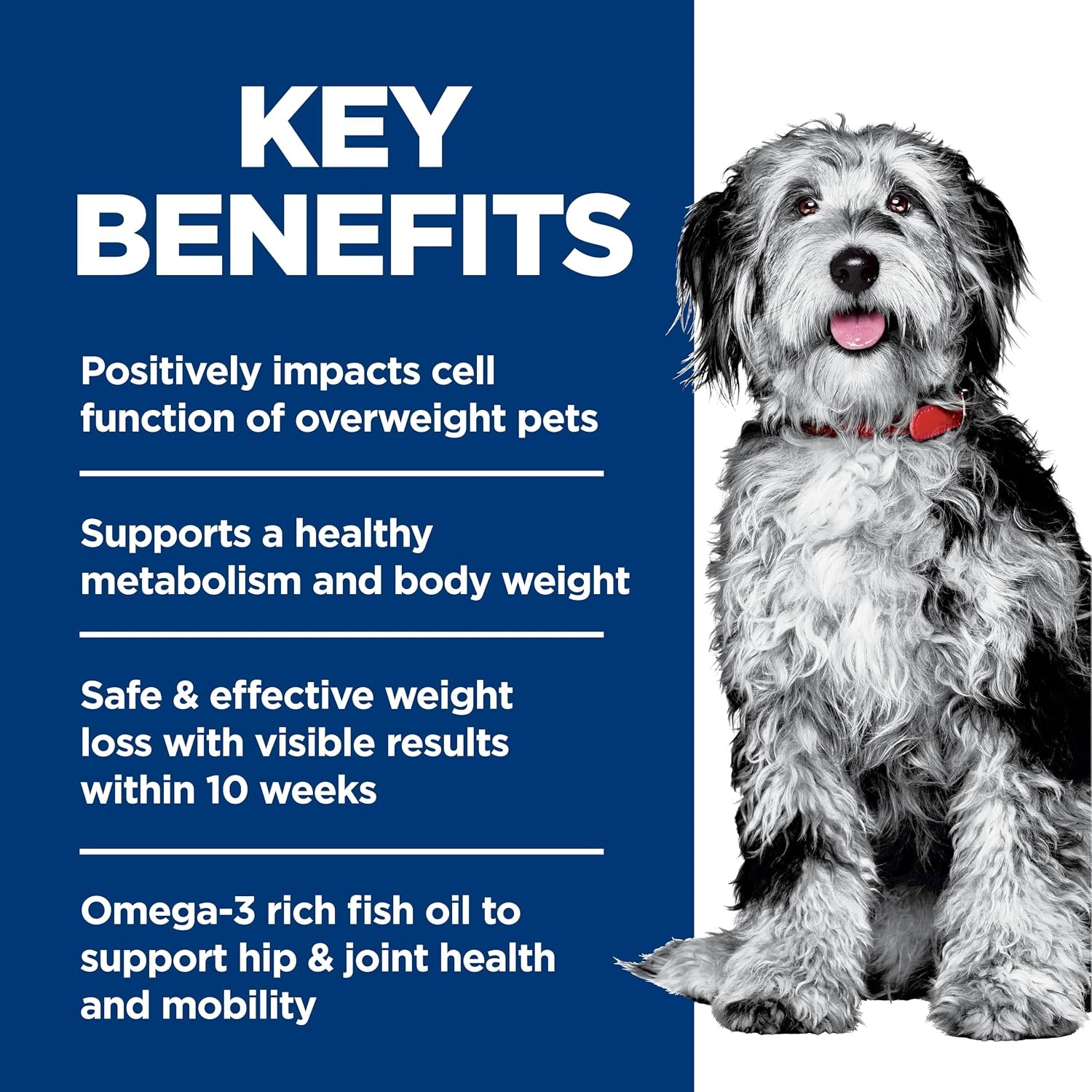 image:imageHills Science Diet Adult Perfect Weight amp Joint Support Dry Dog Food Chicken 25 lb BagChicken Brown Rice