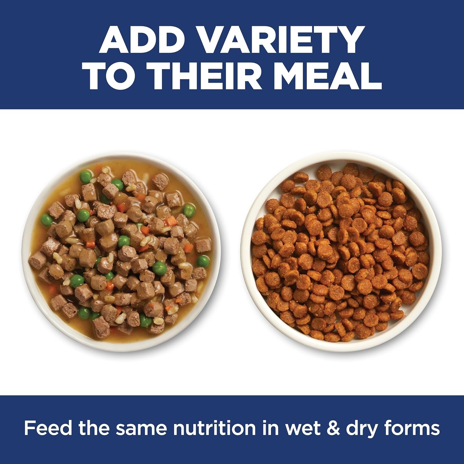 image:imageHills Science Diet Adult Sensitive Stomach amp Skin Dry Cat Food Chicken amp Rice 35 lb Bag Updated FormulaSalmon