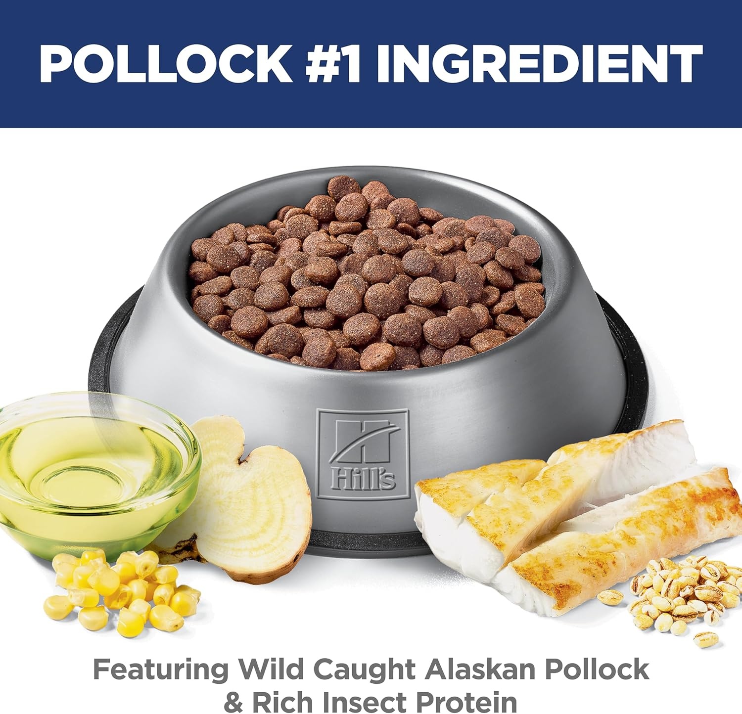 image:imageHills Science Diet Adult Sensitive Stomach amp Skin Dry Dog Food Chicken 30 lb Bag 1 Veterinarian Recommended Adult Formula Chicken Recipe 30 lb BagPollock Barley Insect Recipe