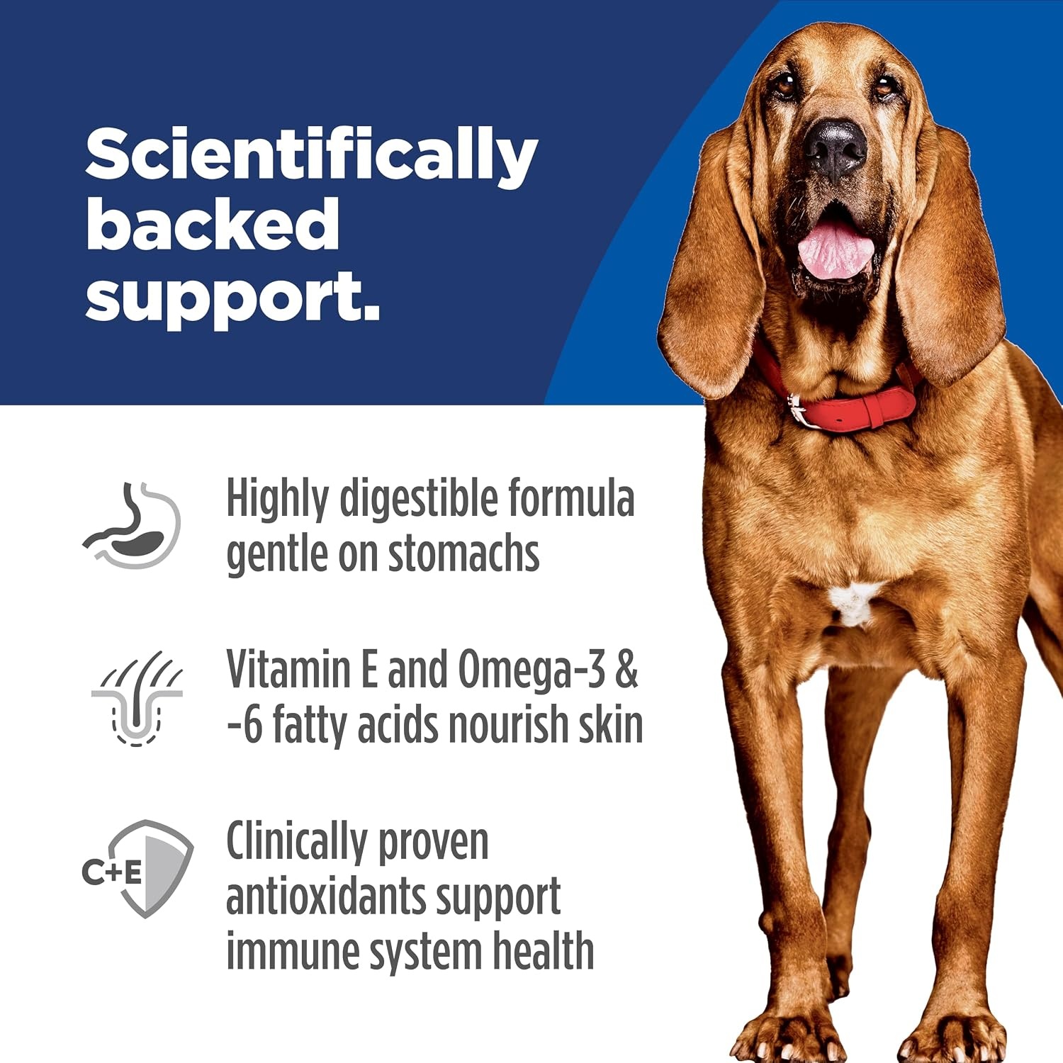 image:imageHills Science Diet Adult Sensitive Stomach amp Skin Large Breed Dry Dog Food Chicken 30 lb Bag