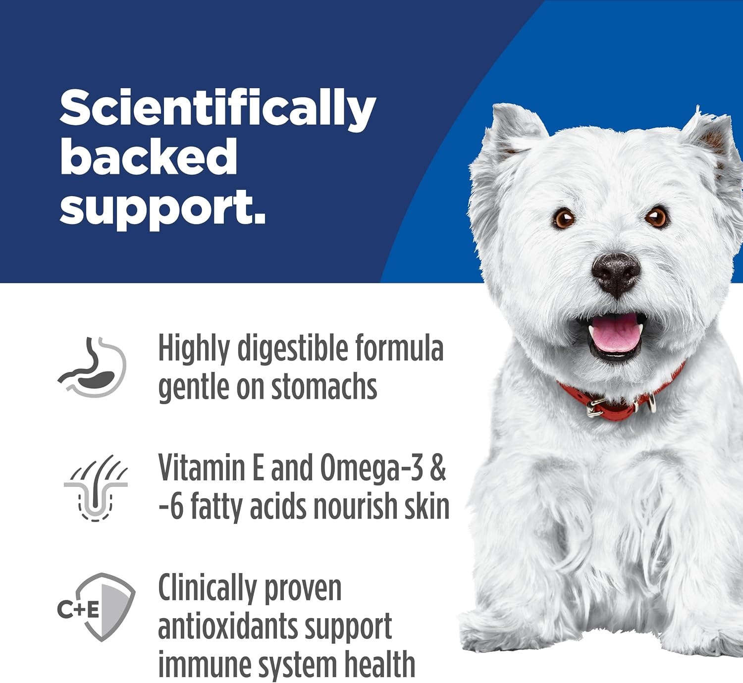 image:imageHills Science Diet Adult Sensitive Stomach amp Skin Small Bites Dry Dog Food Chicken 4 lb BagChicken