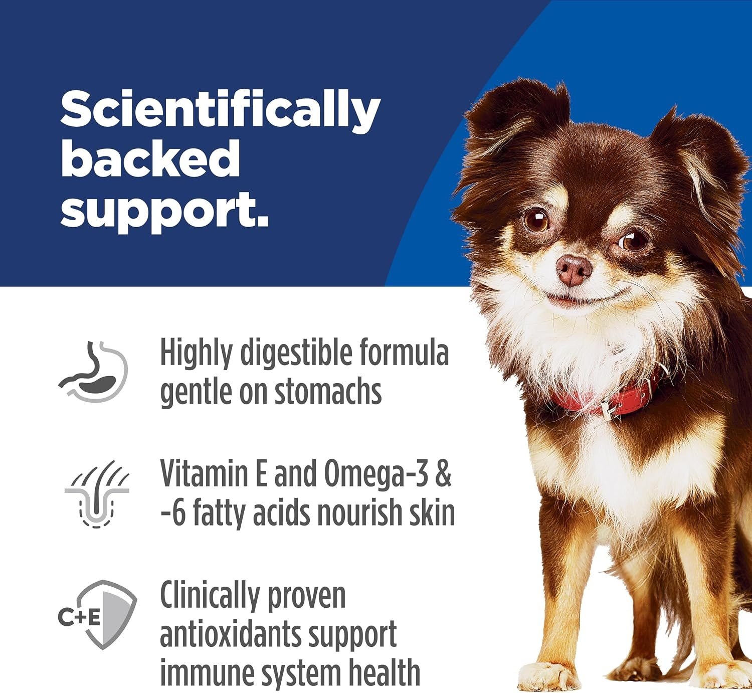 image:imageHills Science Diet Adult Sensitive Stomach amp Skin Small amp Mini Dry Dog Food Chicken 15 lb Bag Updated FormulaChicken
