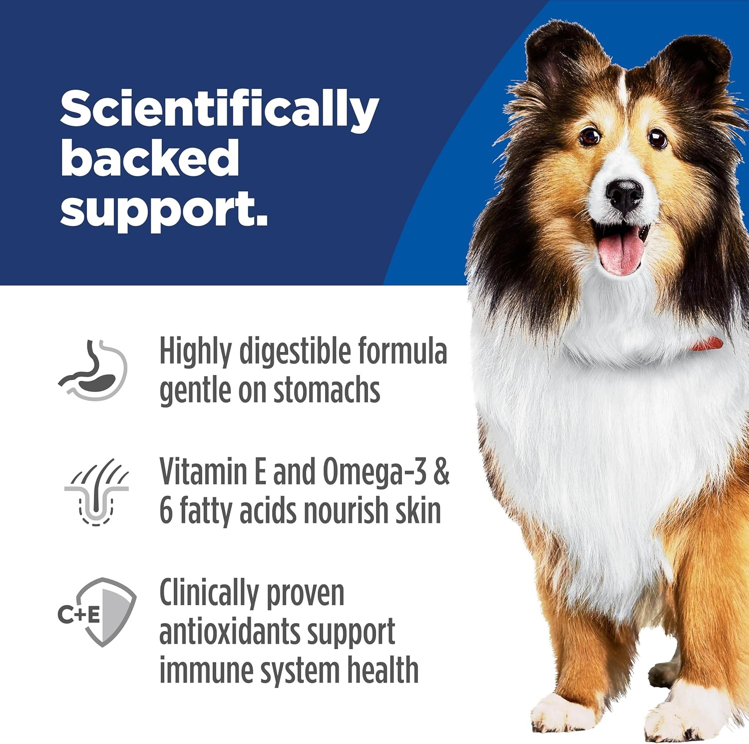 image:imageHills Science Diet Adult Sensitive Stomach amp Skin Wet Dog Food Variety Pack Chicken amp Vegetable Salmon amp Vegetable 128 oz Cans 12PackChicken Vegetable Stew