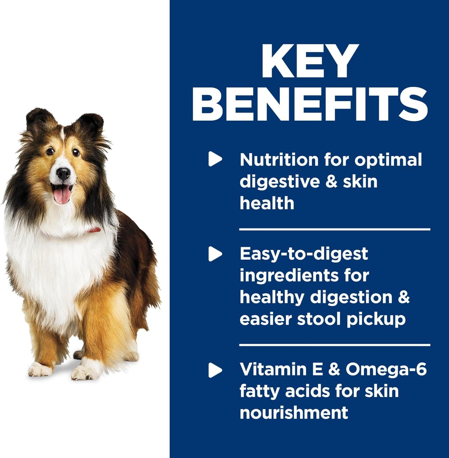 image:imageHills Science Diet Adult Sensitive Stomach amp Skin Wet Dog Food Variety Pack Chicken amp Vegetable Salmon amp Vegetable 128 oz Cans 12PackTurkey Rice Stew
