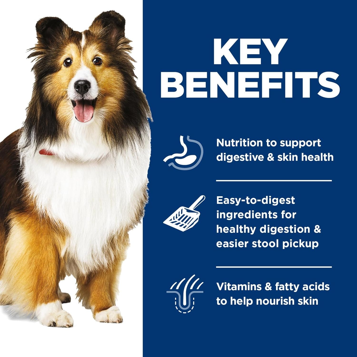 image:imageHills Science Diet Adult Sensitive Stomach amp Skin Wet Dog Food Variety Pack Chicken amp Vegetable Salmon amp Vegetable 128 oz Cans 12PackVariety Pack Chicken Vegetables Salmon Vegetables Loaf