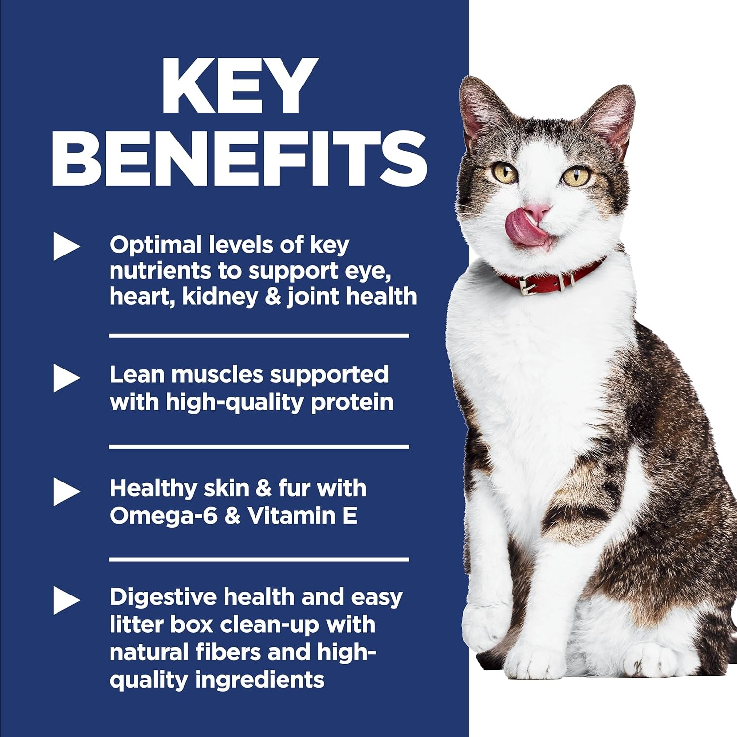 image:imageHills Science Diet Indoor Senior Adult 11 Easy Litter Box Cleanup Dry Cat Food Chicken Recipe 7 lb BagChicken