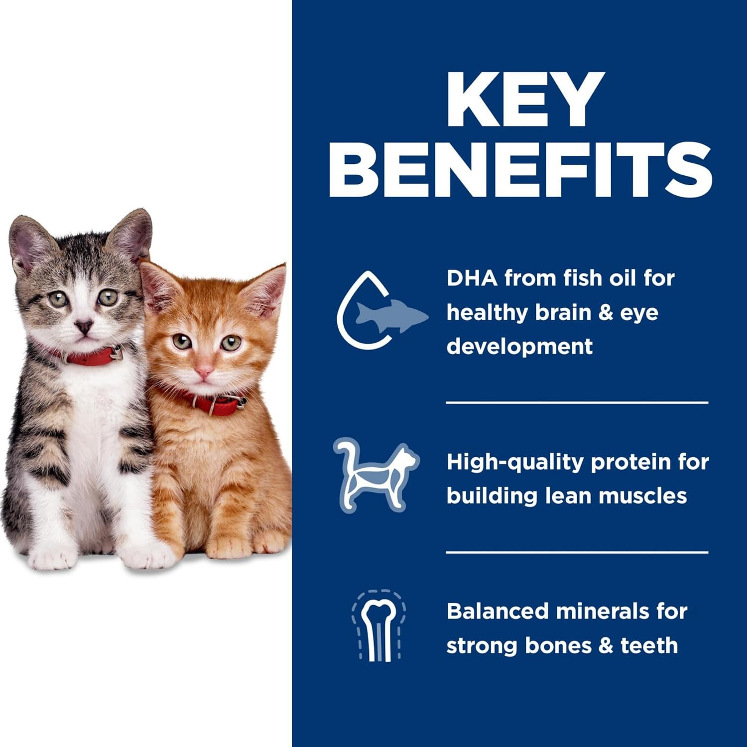 image:imageHills Science Diet Kitten Kitten Premium Nutrition Dry Cat Food No Corn Wheat Soy Chicken amp Brown Rice 35 lb BagNo Corn Wheat Soy Chicken Brown Rice