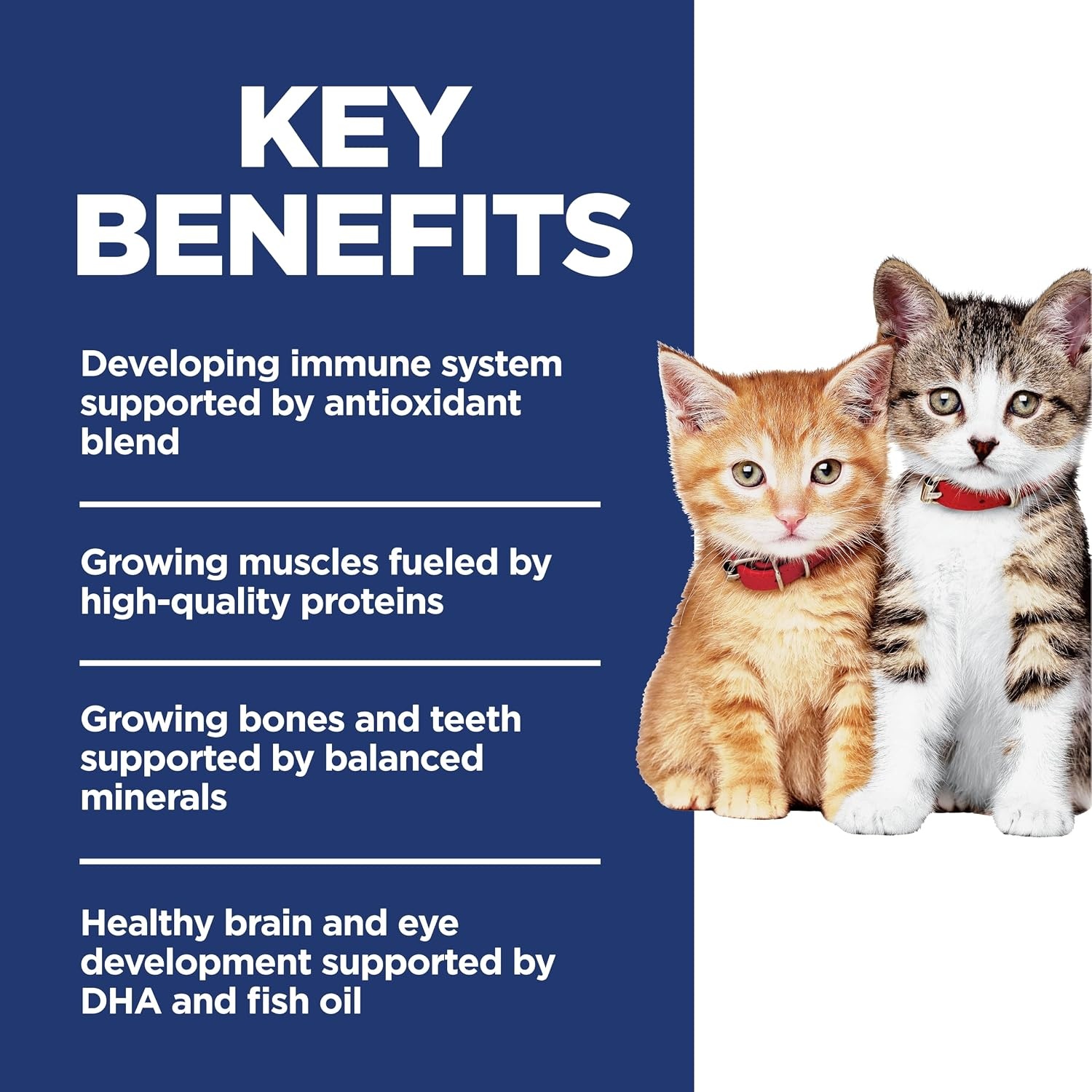 image:imageHills Science Diet Kitten Kitten Premium Nutrition Dry Cat Food No Corn Wheat Soy Chicken amp Brown Rice 35 lb BagNo Corn Wheat Soy Chicken Brown Rice