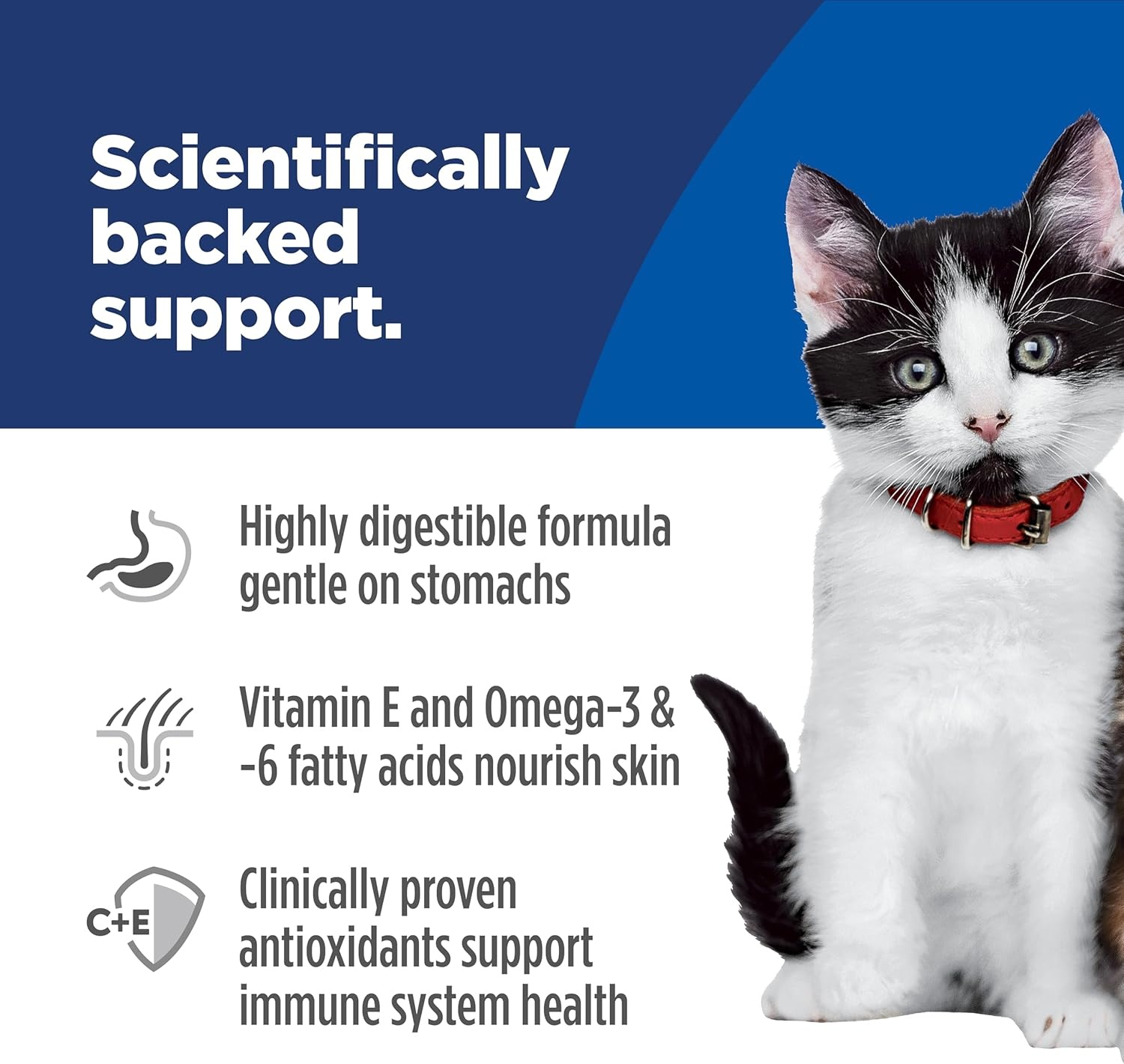 image:imageHills Science Diet Kitten Sensitive Stomach amp Skin Dry Cat Food Salmon amp Brown Rice 35 lb BagSalmon Brown Rice