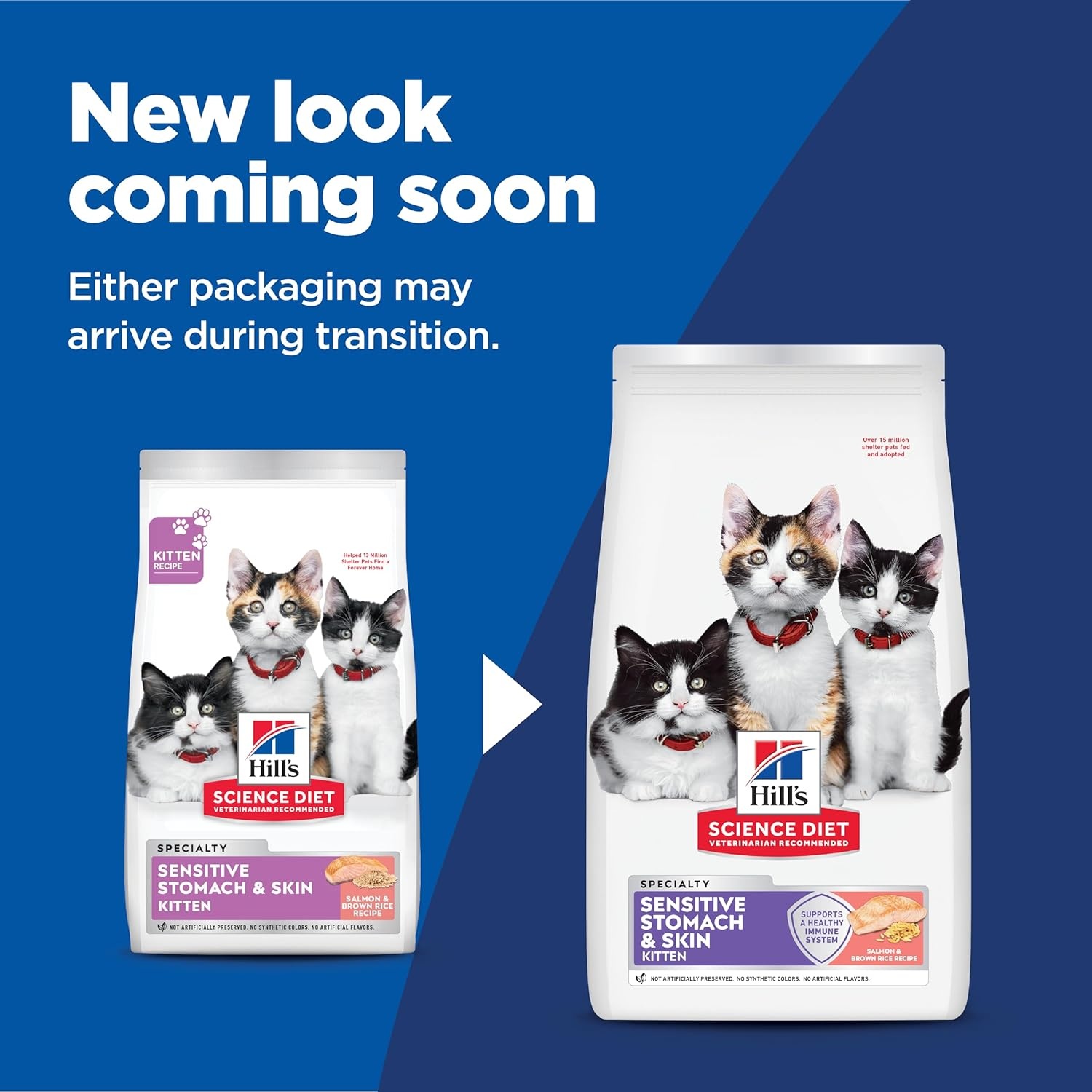 image:imageHills Science Diet Kitten Sensitive Stomach amp Skin Dry Cat Food Salmon amp Brown Rice 35 lb BagSalmon Brown Rice