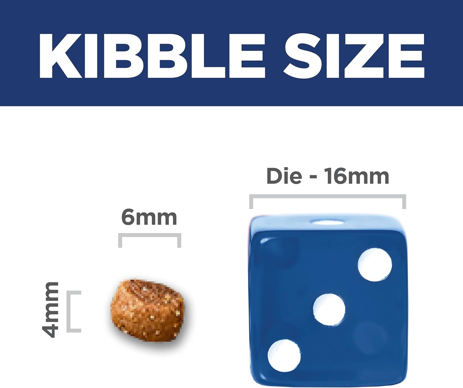 image:imageHills Science Diet Kitten Sensitive Stomach amp Skin Dry Cat Food Salmon amp Brown Rice 35 lb BagSalmon Brown Rice