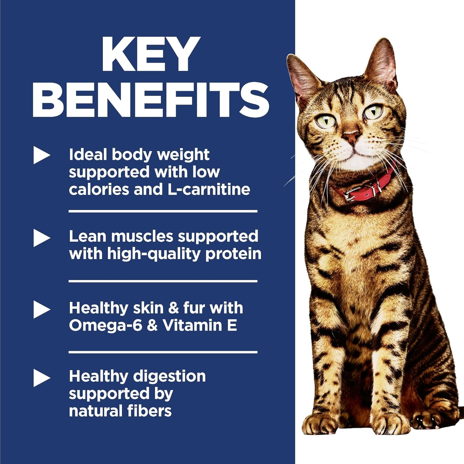 image:imageHills Science Diet Light Adult 16 Weight Management Support Dry Cat Food Chicken Recipe 7 lb BagChicken