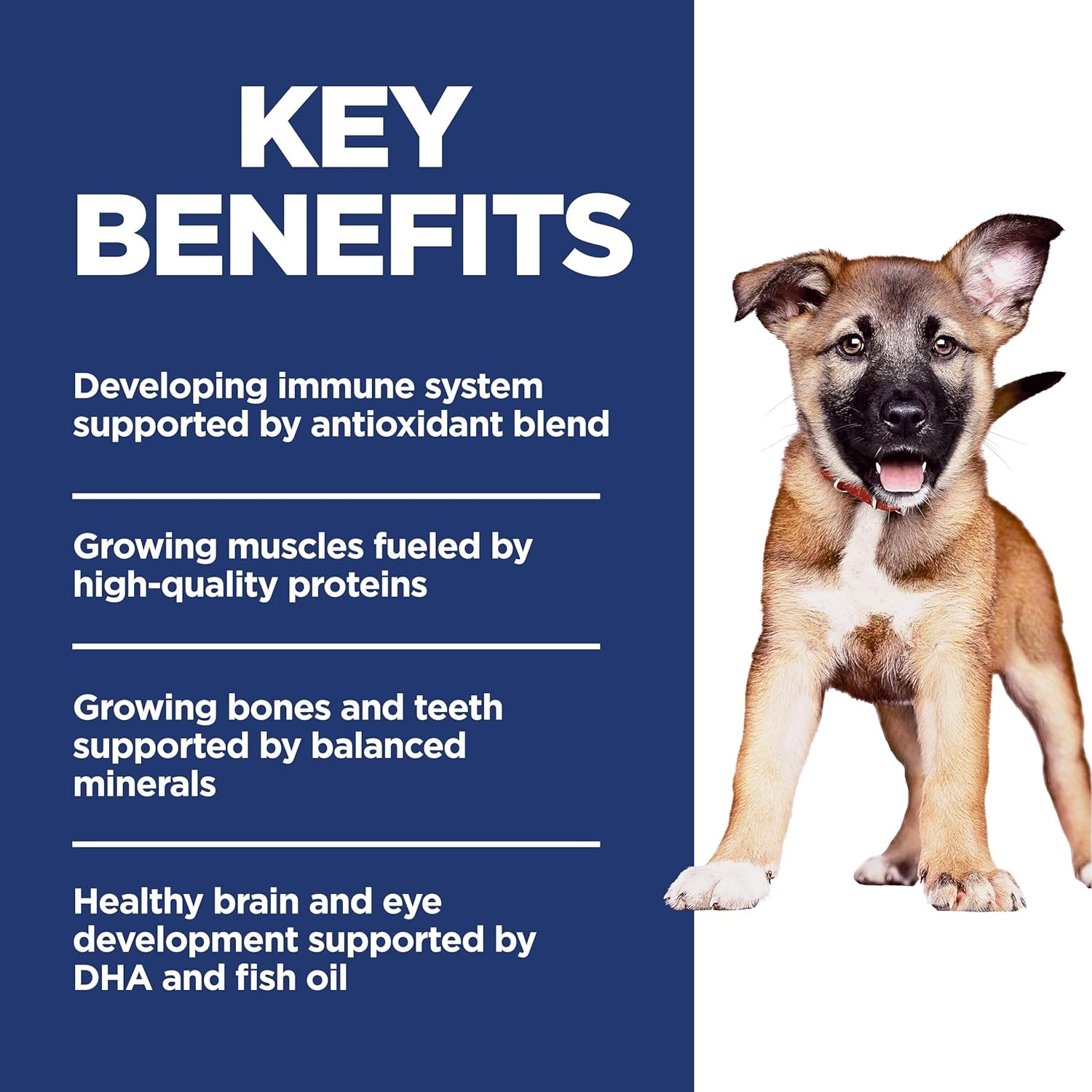 image:imageHills Science Diet Puppy Large Breed Dry Dog Food Chicken amp Brown Rice 275 lb BagChicken Brown Rice
