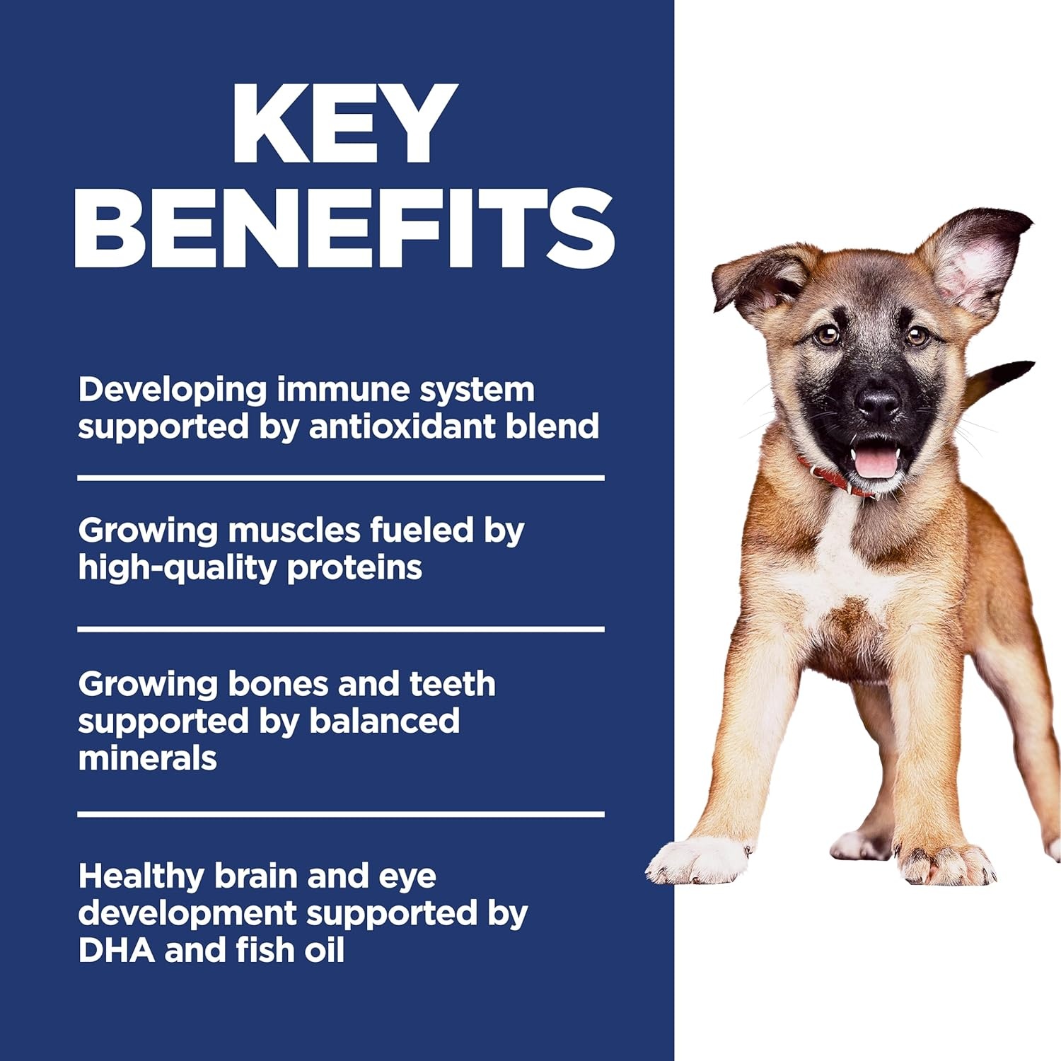 image:imageHills Science Diet Puppy Large Breed Dry Dog Food Chicken amp Brown Rice 275 lb BagLamb Brown Rice