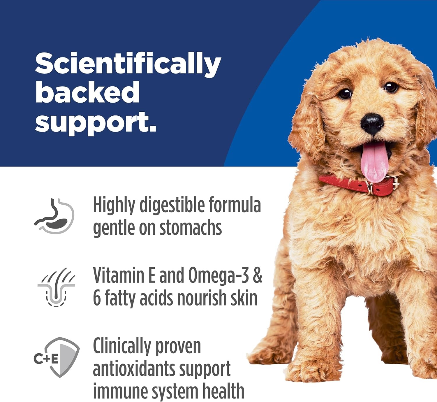 image:imageHills Science Diet Puppy Sensitive Stomach amp Skin Wet Dog Food Salmon amp Vegetable Stew 125 oz Cans 12Pack125 Ounce Pack of 12