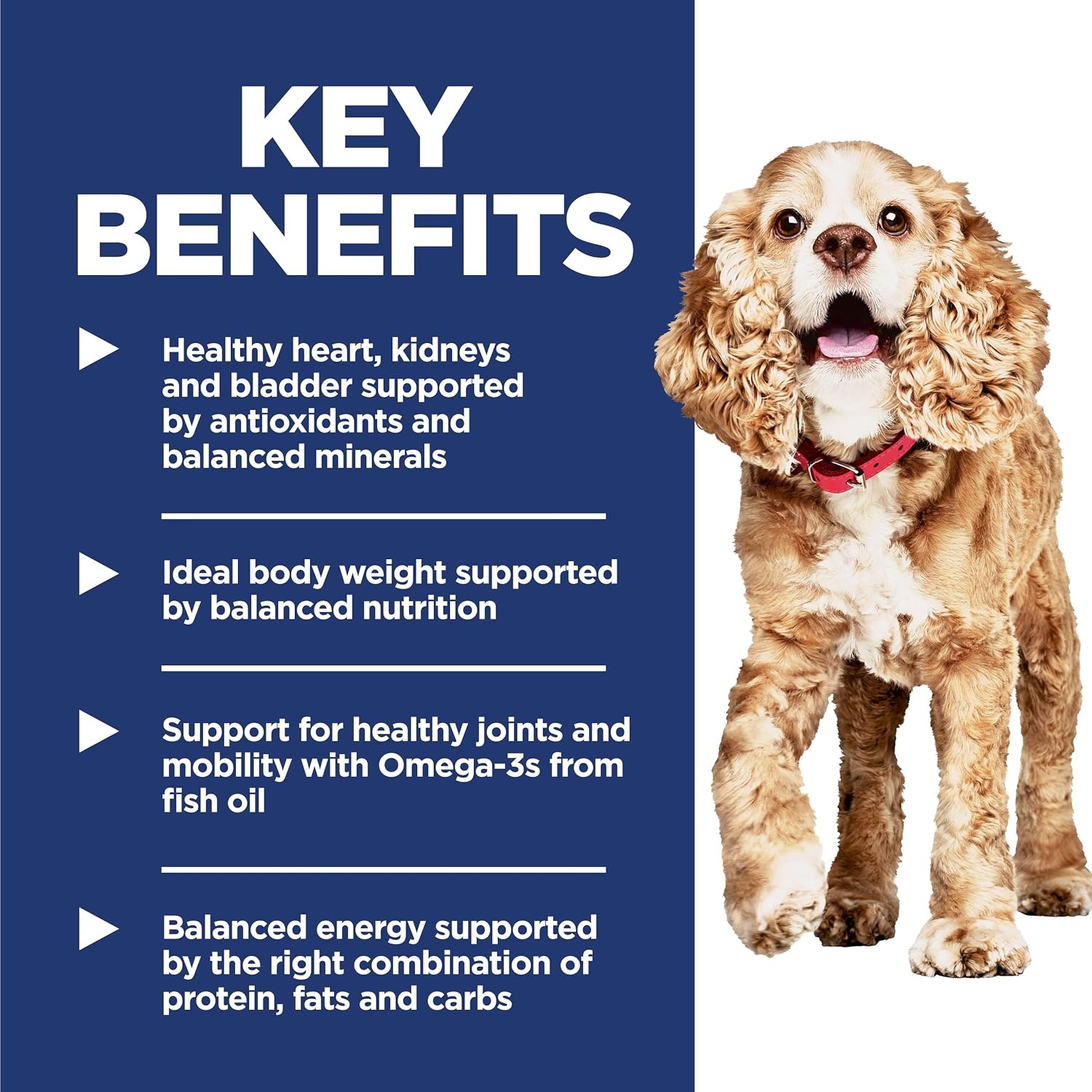 image:imageHills Science Diet Senior 11 Small amp Mini Dry Dog Food Chicken Brown Rice amp Barley 45 lb BagChicken Brown Rice Barley