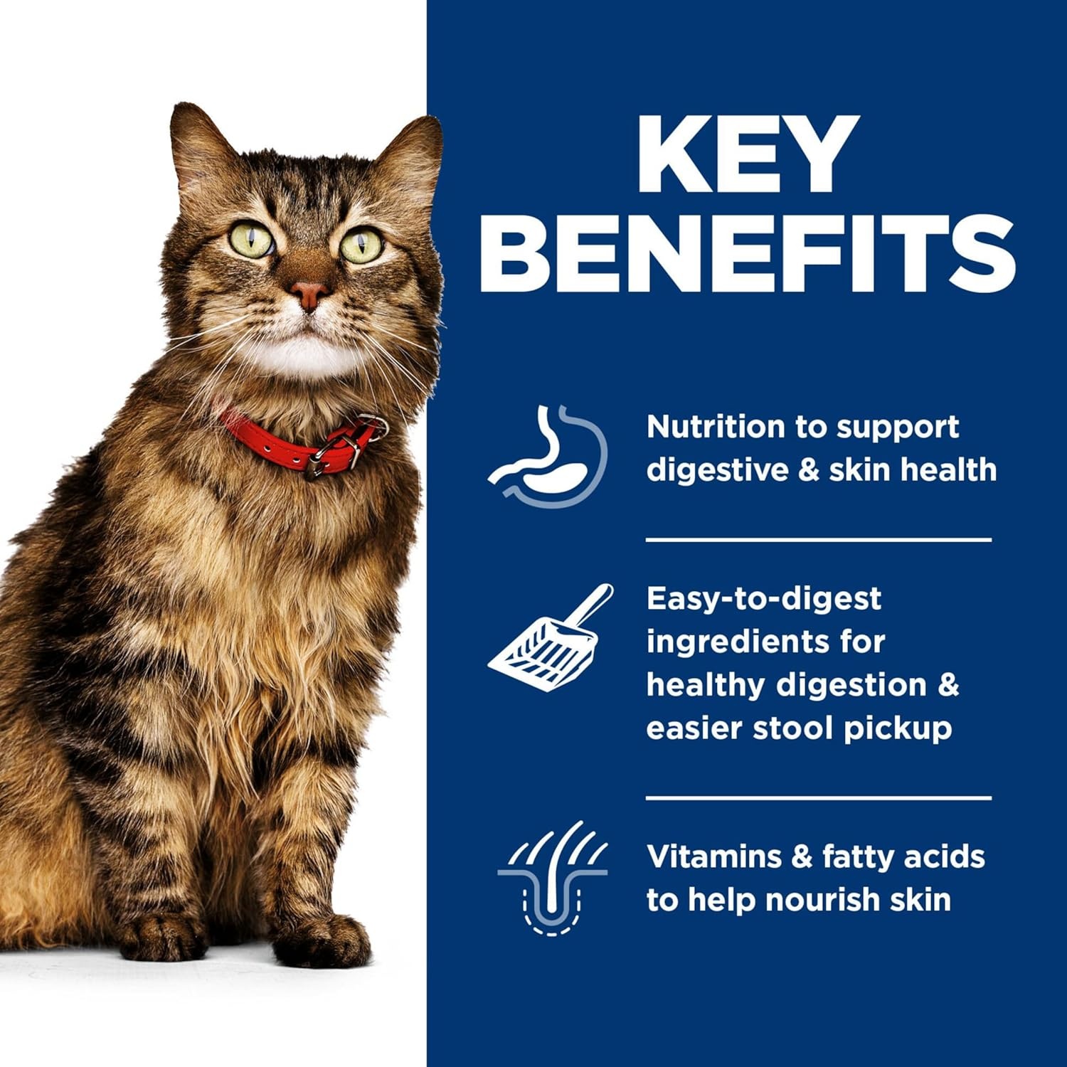 image:imageHills Science Diet Sensitive Stomach amp Skin Adult 16 Stomach amp Skin Sensitivity Support Wet Cat Food Tuna amp Vegetables Minced 29 oz Can Case of 24Variety Pack Chicken Tuna Minced