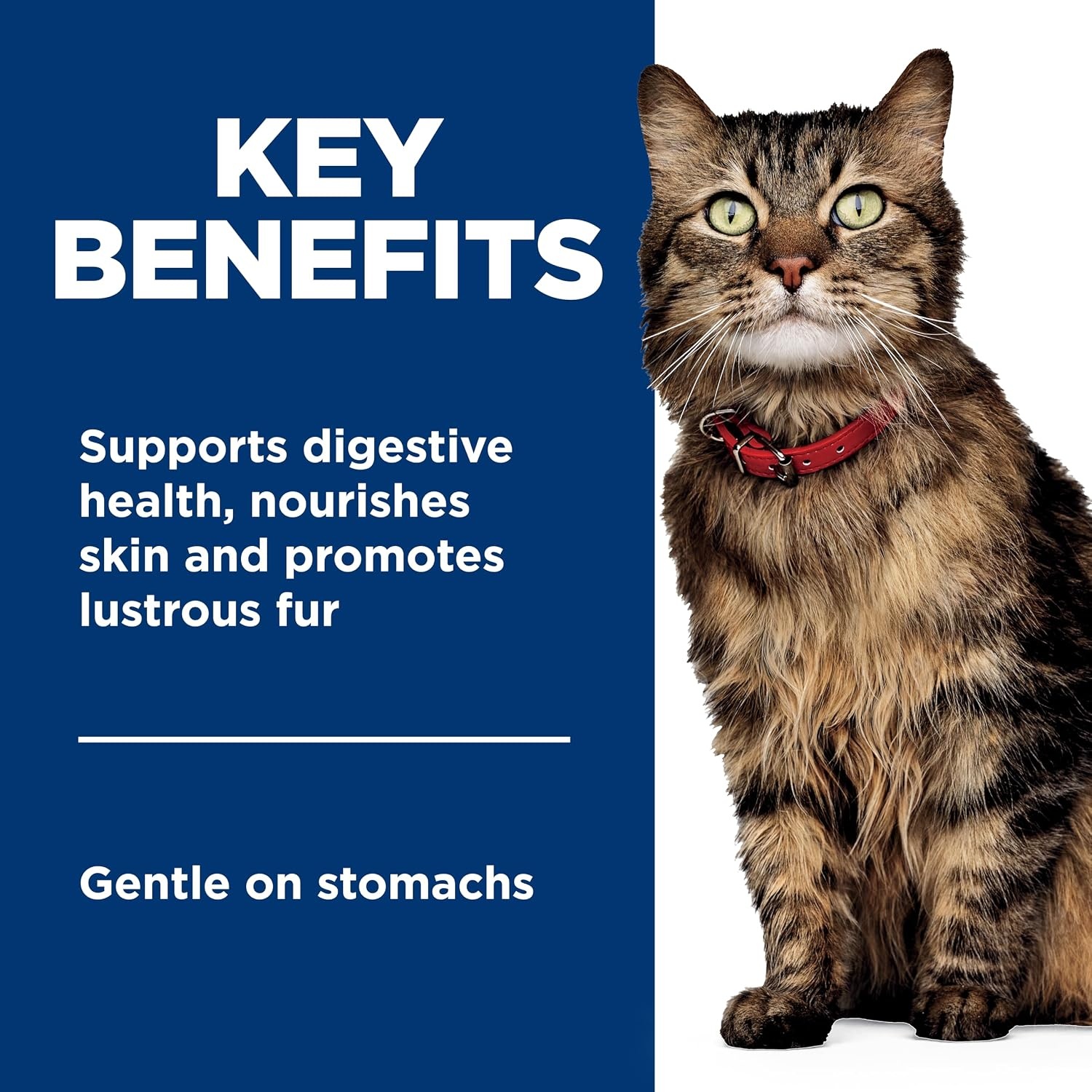 image:imageHills Science Diet Sensitive Stomach amp Skin Adult 16 Stomach amp Skin Sensitivity Support Wet Cat Food Tuna amp Vegetables Minced 29 oz Can Case of 24Variety Pack Chicken Tuna Duck