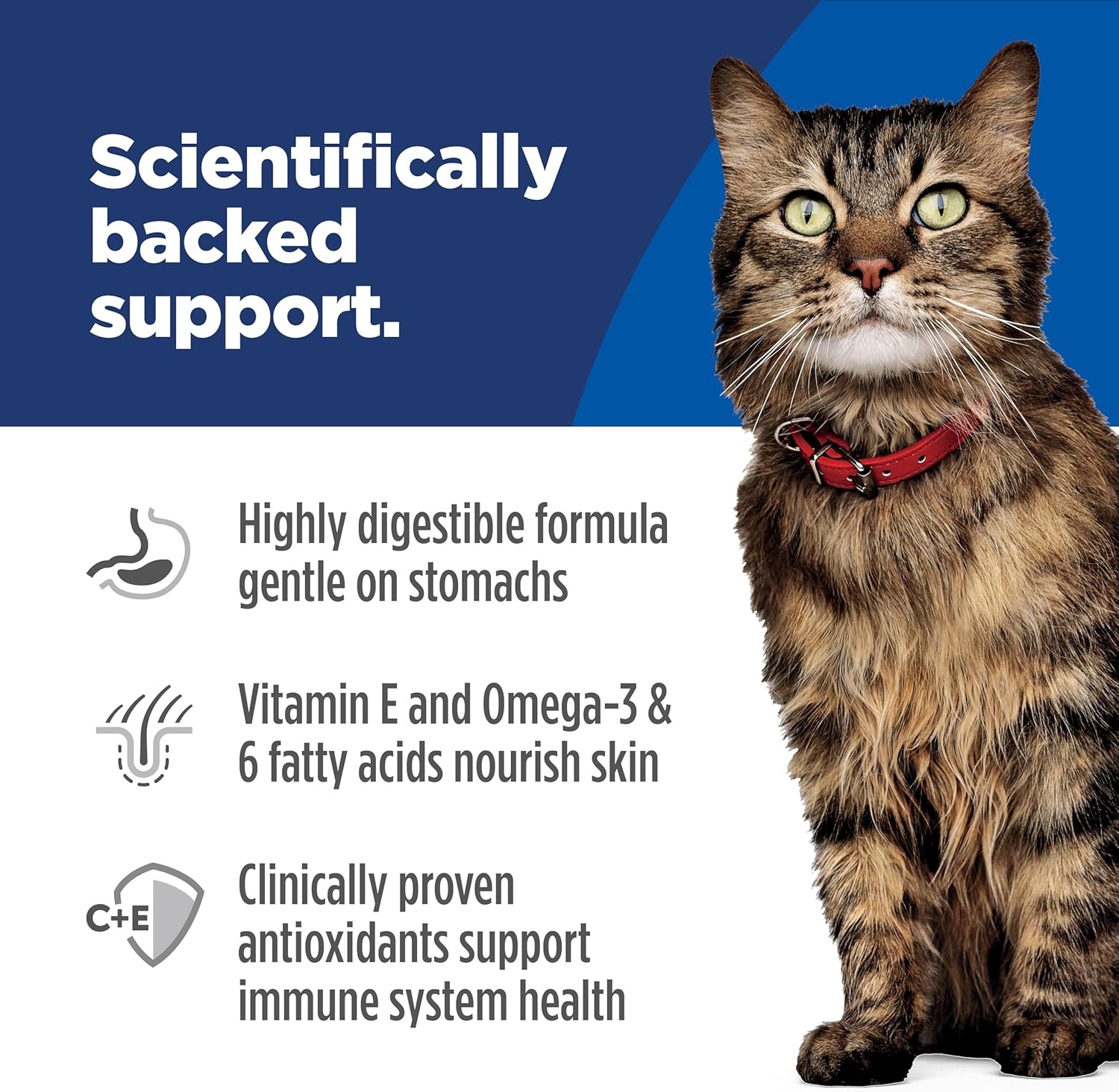 image:imageHills Science Diet Sensitive Stomach amp Skin Adult 16 Stomach amp Skin Sensitivity Support Wet Cat Food Tuna amp Vegetables Minced 29 oz Can Case of 24Duck Vegetables Minced