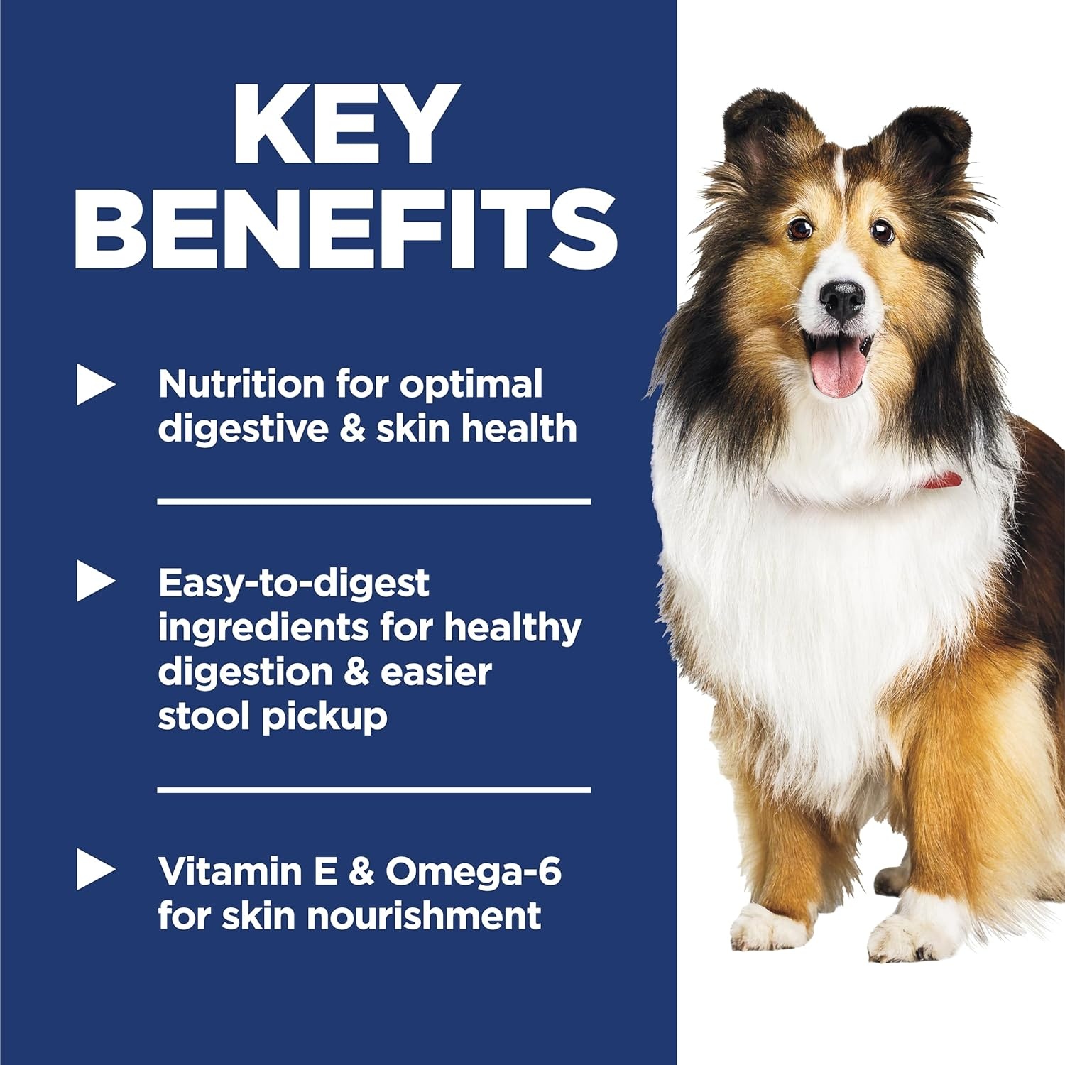 image:imageHills Science Diet Sensitive Stomach amp Skin Adult 16 Stomach amp Skin Sensitivity Support Wet Dog Food Chicken amp Rice Stew 28 oz Pouch Case of 24Chicken Rice Stew