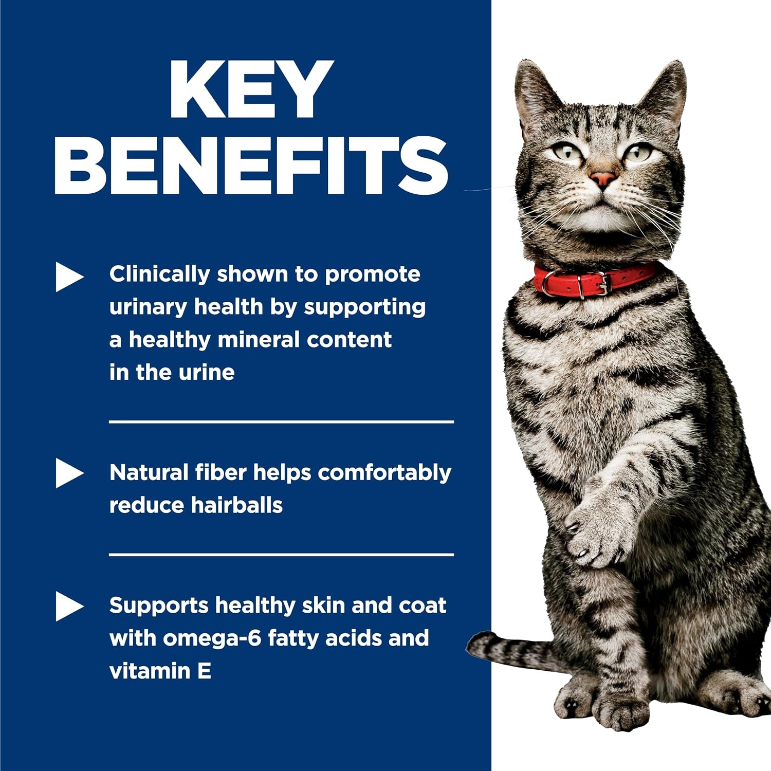 image:imageHills Science Diet Urinary Hairball Control Adult 16 Wet Cat Food Chicken amp Vegetables Stew 29 oz Cans Pack of 24Salmon Vegetables Stew