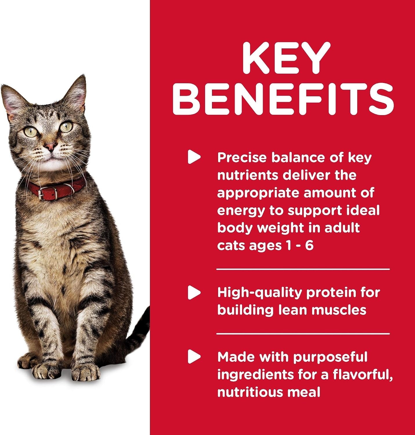 image:imageHills Science Diet Wet Cat Food Adult Savory Salmon Recipe 29 oz Cans 24Pack