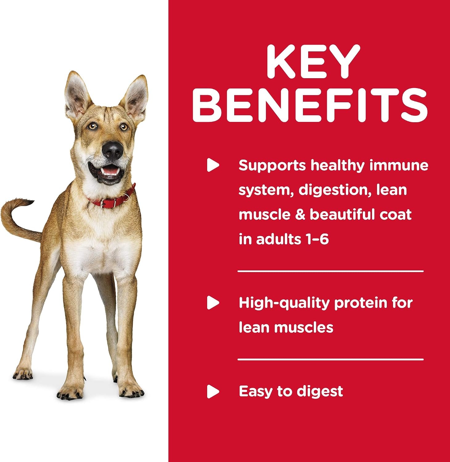 image:imageHills Science Diet Wet Dog Food Turkey amp Barley Entre Adult 16 13 oz Cans 12Pack