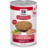 Salmon & Barley