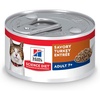 Turkey Minced