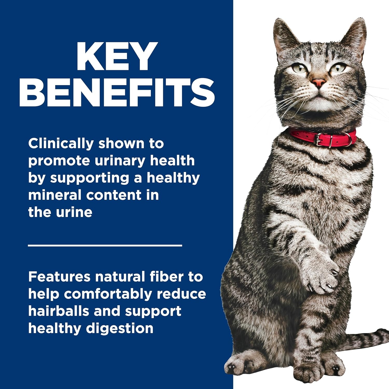 image:imageHills Science Diet Urinary amp Hairball Control Wet Cat Food Variety Pack 1 Veterinarian Recommended Adult Formula Chicken Tuna amp Salmon 29 oz Cans 24PackVariety Pack Chicken Tuna Vegetables Stew